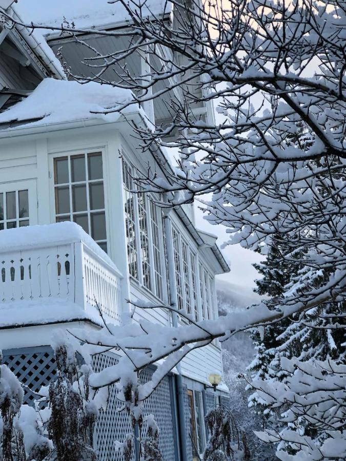 Arctic Villa Τρόμσο Εξωτερικό φωτογραφία